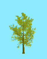greenshift tree