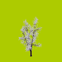 greenshift tree