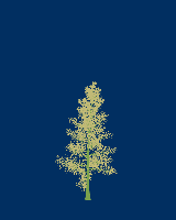 greenshift tree