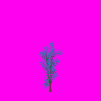 greenshift tree