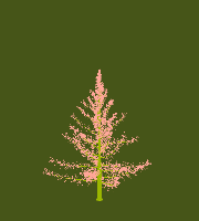greenshift tree