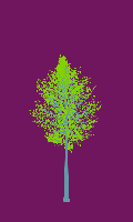 greenshift tree