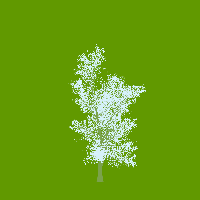 greenshift tree