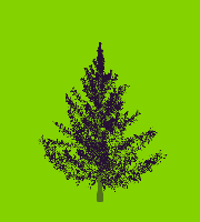 greenshift tree