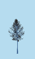 greenshift tree