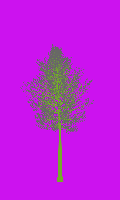 greenshift tree