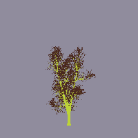 greenshift tree