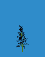 greenshift tree