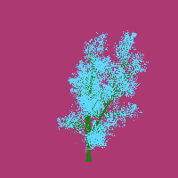 greenshift tree