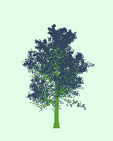 greenshift tree