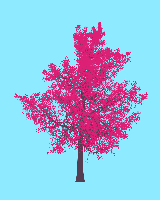 greenshift tree