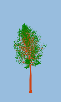 greenshift tree