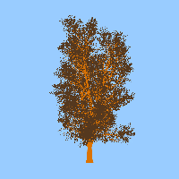 greenshift tree