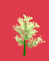 greenshift tree