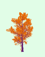 greenshift tree