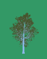 greenshift tree