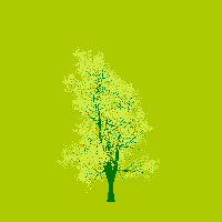greenshift tree