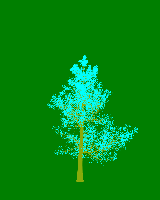 greenshift tree