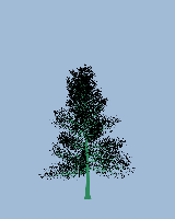 greenshift tree