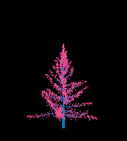 greenshift tree