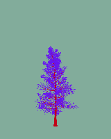 greenshift tree