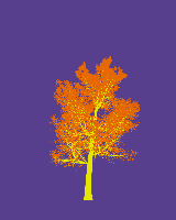 greenshift tree