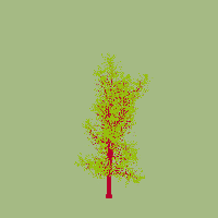greenshift tree