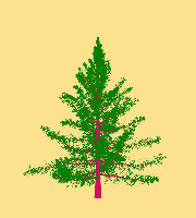 greenshift tree