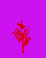 greenshift tree