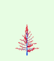 greenshift tree