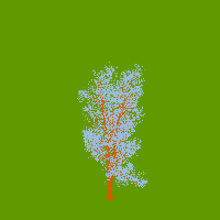 greenshift tree