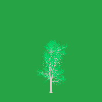 greenshift tree