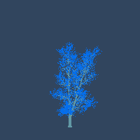 greenshift tree