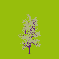 greenshift tree