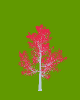 greenshift tree