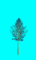 greenshift tree