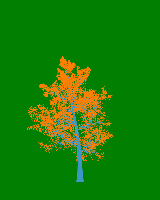 greenshift tree