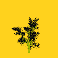 greenshift tree
