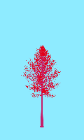 greenshift tree