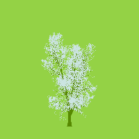 greenshift tree
