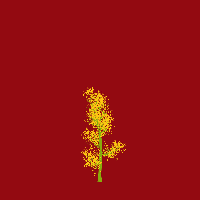 greenshift tree