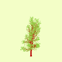 greenshift tree