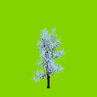 greenshift tree