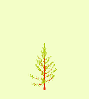 greenshift tree