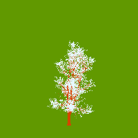 greenshift tree
