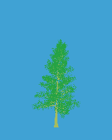 greenshift tree