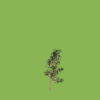 greenshift tree