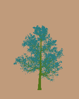 greenshift tree