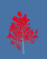 greenshift tree