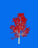 greenshift tree